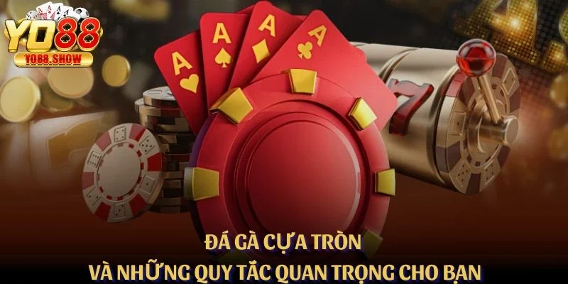 Đá Gà Cựa Tròn Và Những Quy Tắc Quan Trọng Cho Bạn